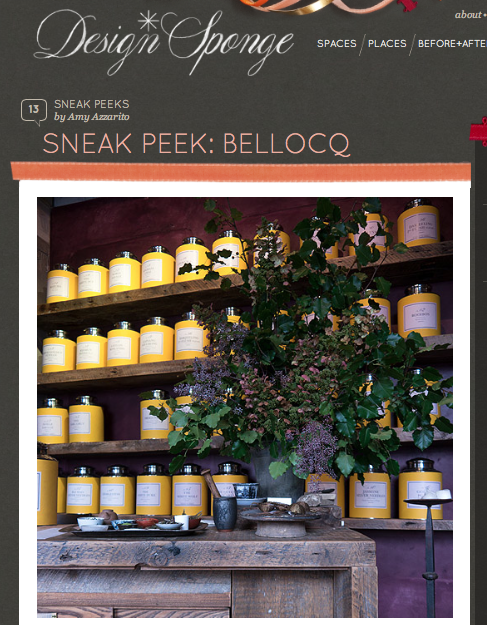 Design*Sponge - Sneak Peek: Bellocq