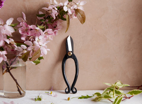 Ikenobo Ikebana Scissors